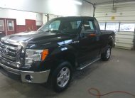 2010 FORD F150