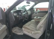 2010 FORD F150