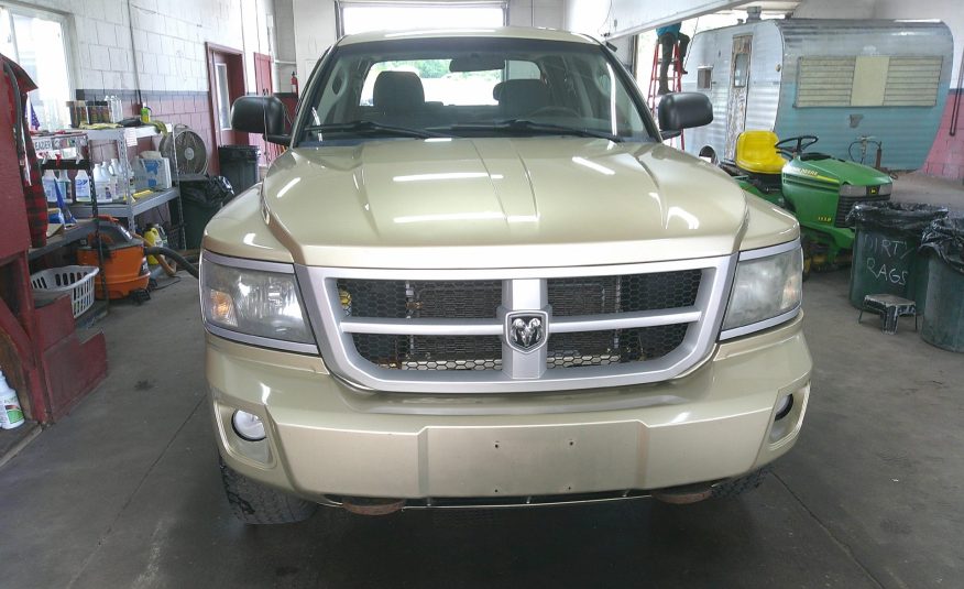 2011 DODGE DAKOTA